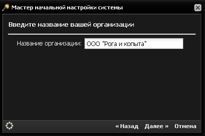 Название организации